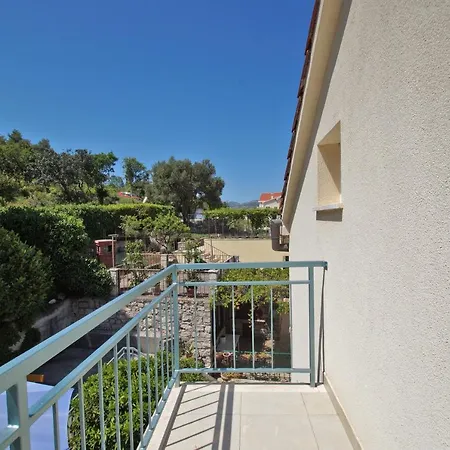 Oasis Blue * 코츌라